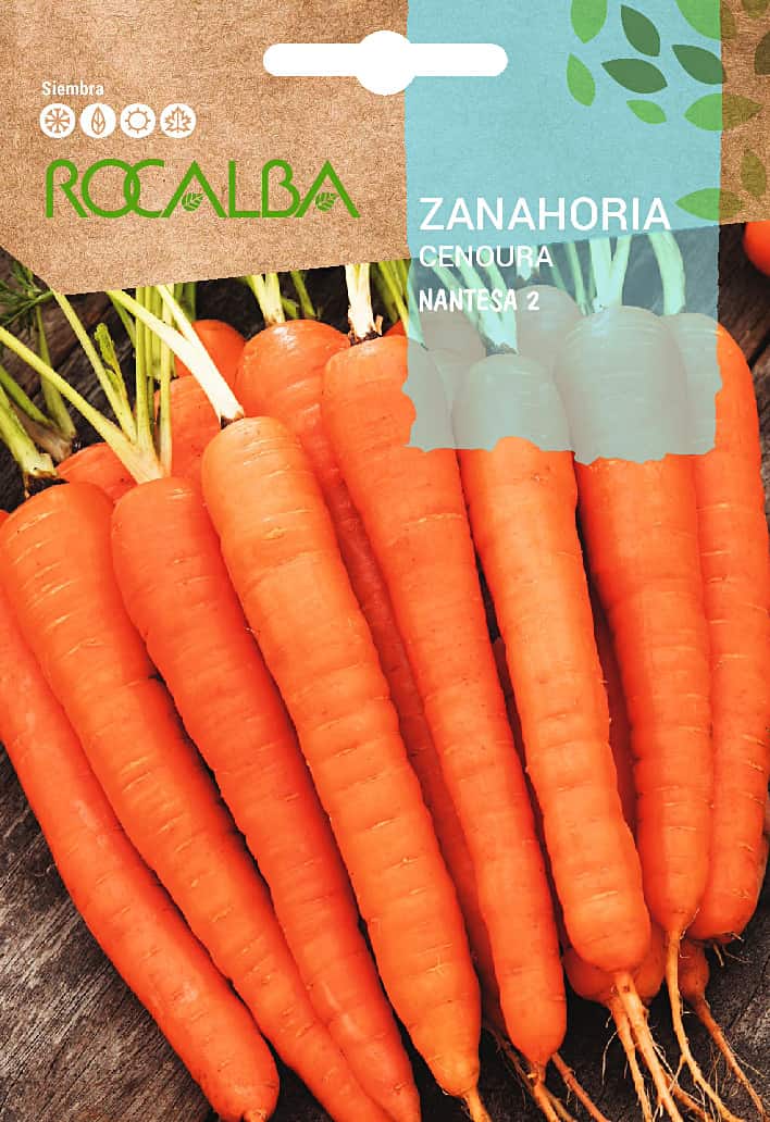 Semi Di Carota Biologica 'Cuore Di Bue' (Daucus Carota) - Magic Garden Seeds, 500 Semi